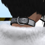 New collar models are complete - back