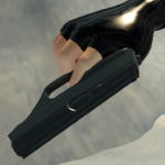 HSc in Second Life